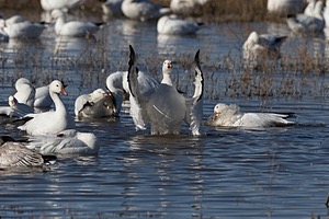 20151206-2994.jpg