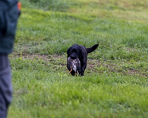 20210725-SHL-0016.jpg