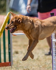 20160618-CCKC-1557.jpg