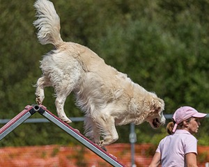 20200819-2337.jpg