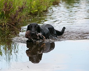 20130713-MHB2-0191.jpg
