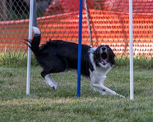 20200819-3018.jpg