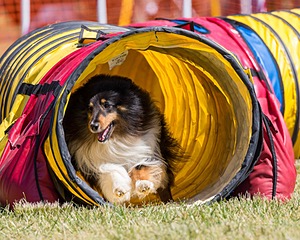 20180617-0583.jpg