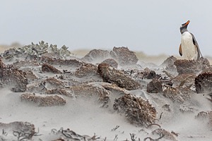 20191216-0379.jpg