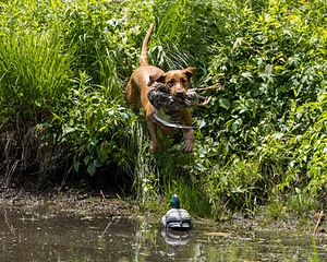 lilly Balderacchi