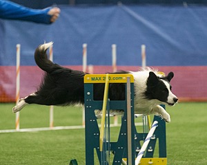 20150321-LEAP-0936.jpg