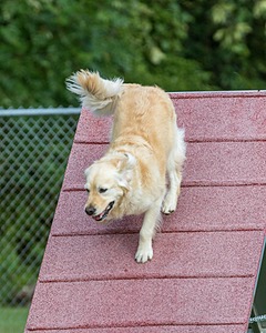 20200819-0219.jpg