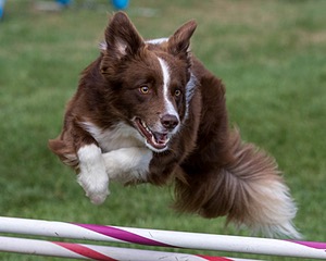 20200819-1005.jpg