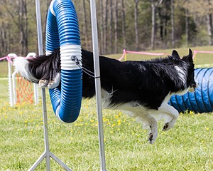 20160514-NEAT-1124.jpg