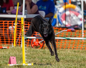 20180617-1637.jpg