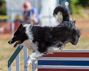 20160618-CCKC-0216.jpg