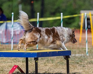 Keebler Derby