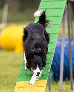 20160515-NEAT-1059.jpg