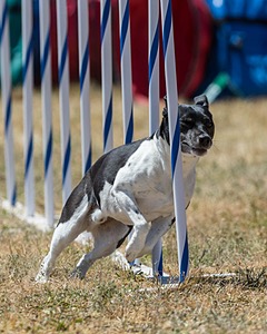 20160618-CCKC-1736.jpg