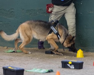 20260718-NSKC-0622.jpg