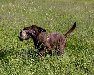 20210606-SEAL-0483.jpg