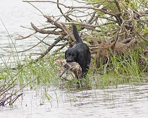 20080531-HRW-0497.jpg