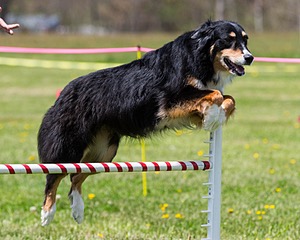 20160514-NEAT-0773.jpg
