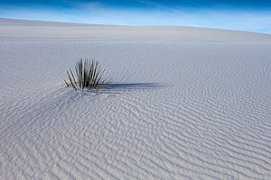 20151207-0091.jpg