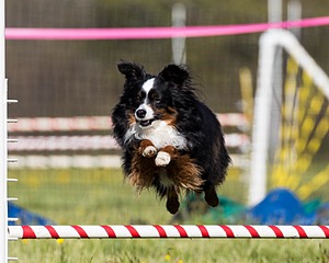 20160514-NEAT-0059.jpg
