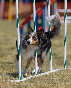 20150614-CCKC-1762.jpg