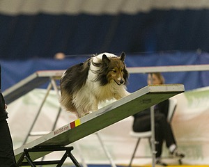 20150321-LEAP-1381.jpg