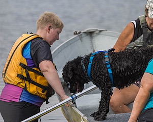 Roo Sestini