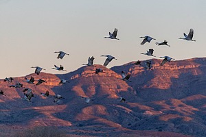 20151205-1029.jpg