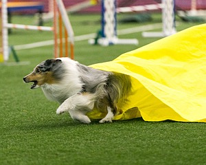 20150322-LEAP-0291.jpg