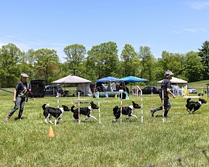 20170521-NEATMC-0010.jpg