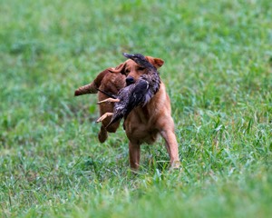 20150913-SEAL-0417.jpg