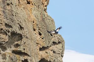 20191206-0048.jpg