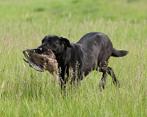 20080531-HRL-0140.jpg