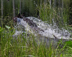 20140809-JHW-0042.jpg