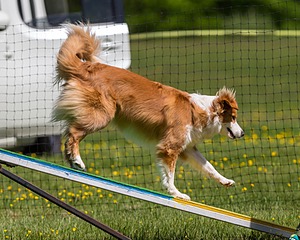 20170521-NEAT-0368.jpg