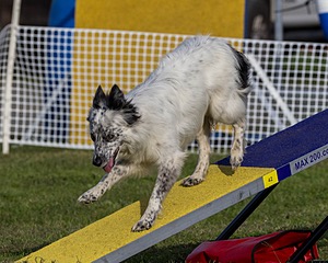 20230916-PVKC-1649.jpg