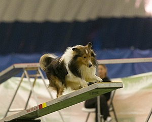 20150321-LEAP-1399.jpg