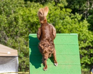 20160619-CCKC-0201.jpg