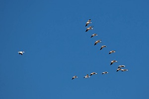 20151206-2286.jpg