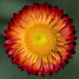 20240907-0015.jpg