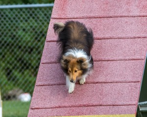 20200819-0128.jpg