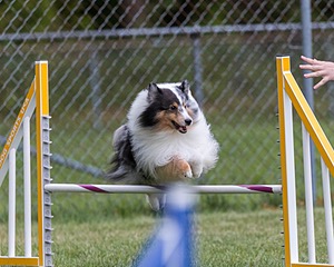 20200819-1907.jpg