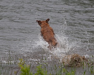 20080531-HRW-0190.jpg