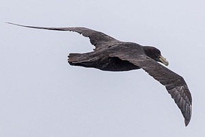 20260324-0076.jpg