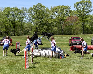 20170520-NEATMC-0008.jpg
