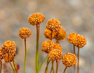 20191206-0131.jpg