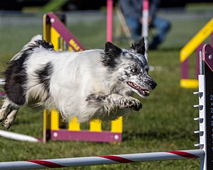 20230917-PVKC-2069.jpg