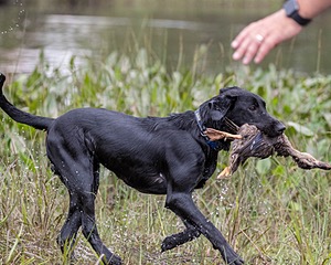 Ben