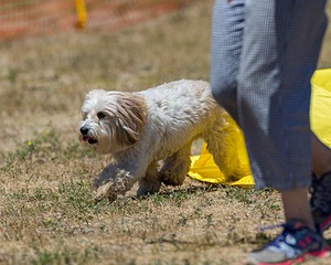 20160619-CCKC-1163.jpg
