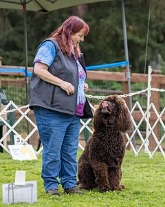 2401 - CAT'S' RUSTY CHARLIE RI CGC TKA (Dugan)
